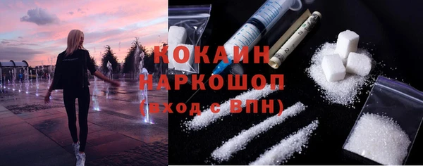 прущие грибы Алзамай