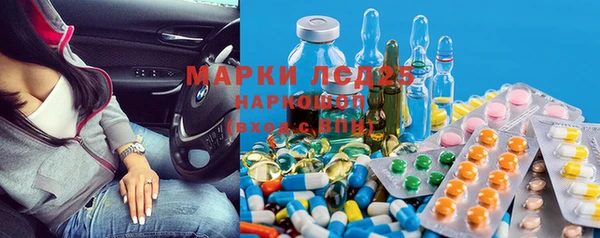 прущие грибы Алзамай