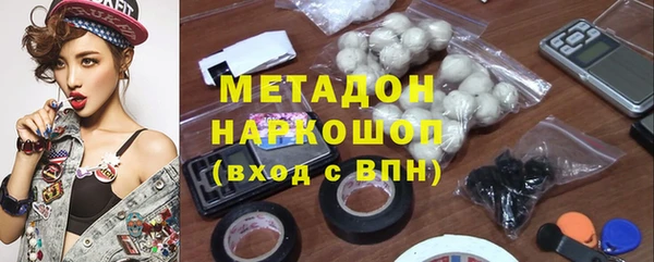 прущие грибы Алзамай