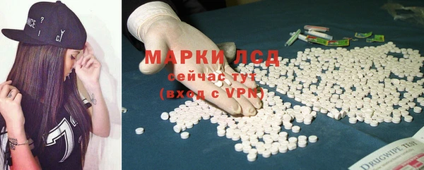 прущие грибы Алзамай