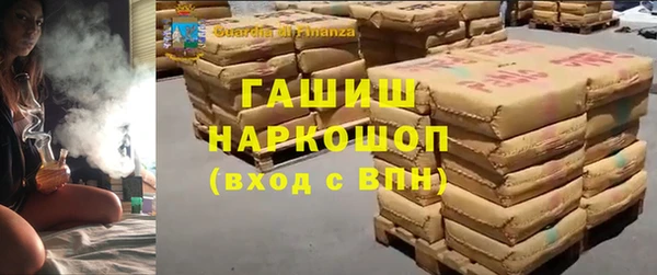 прущие грибы Алзамай