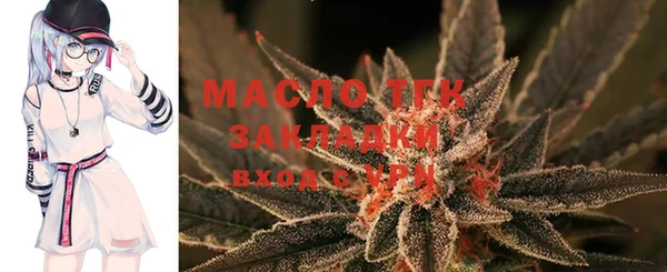 прущие грибы Алзамай