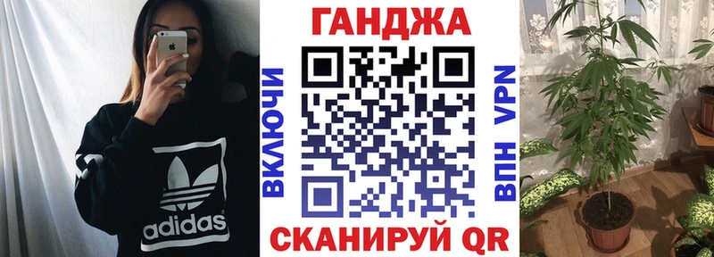 сколько стоит  Саки  Шишки марихуана сатива 